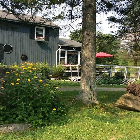 Firefly Bed & Breakfast Линкольн Экстерьер фото
