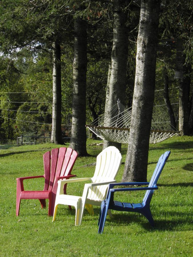 Firefly Bed & Breakfast Линкольн Экстерьер фото